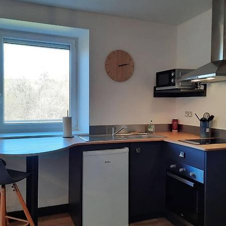 Studio Avec Vue Sur La Vezere Uzerche Luaran gambar